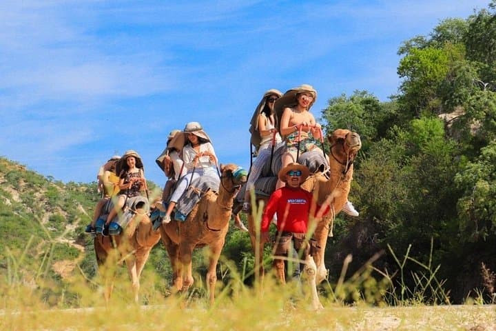 Canyon Camel Ride in Los Cabos — Wild Canyon Adventure Park Experience photo 2