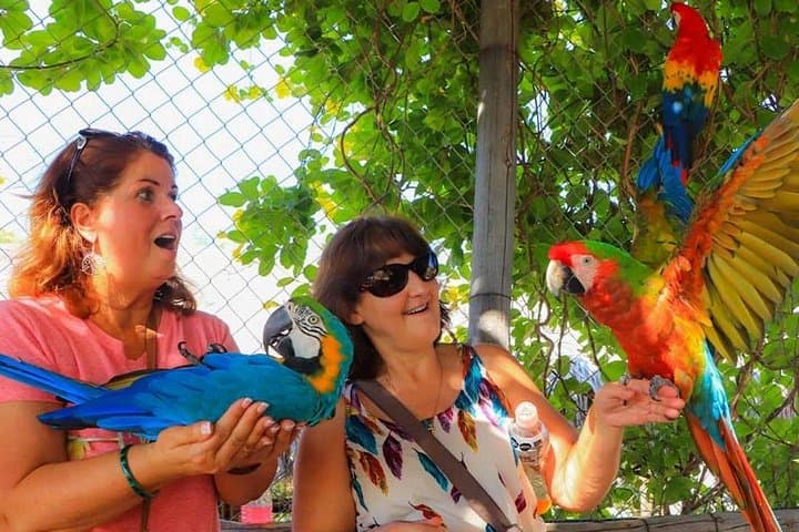 Canyon Camel Ride in Los Cabos — Wild Canyon Adventure Park Experience photo 4