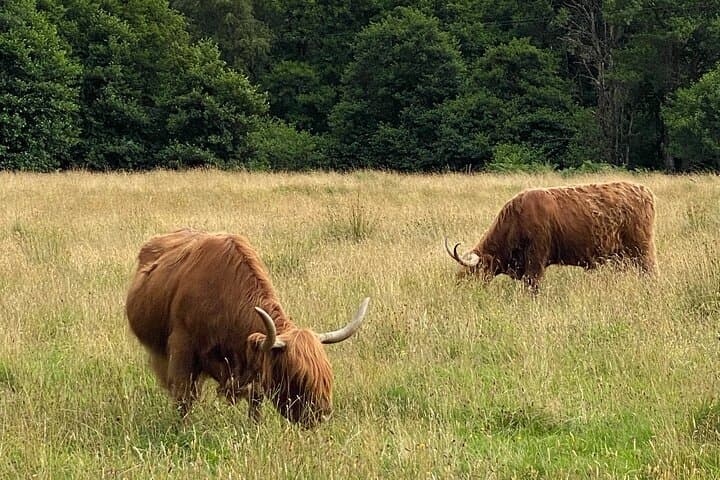 private-day-trip-loch-ness-glencoe-highlands-from-edinburgh
