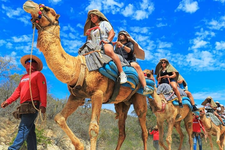 Wild Canyon Full Day Pass in Cabo: Zip‑lines, ATVs & Waterpark Adventure