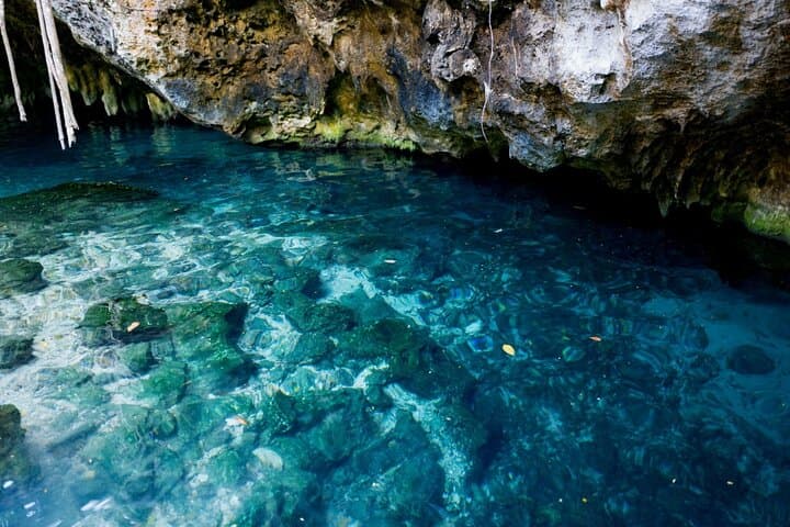 Tulum & Dos Ojos Cenote Day Tour — Tulum Ruins, Grand Cenote and Dos Ojos with Lunch photo 2