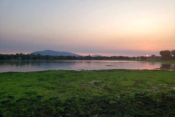 Exclusive 1-Night Rustic Luxury Safari at Makubi, Nyerere National Park photo 2