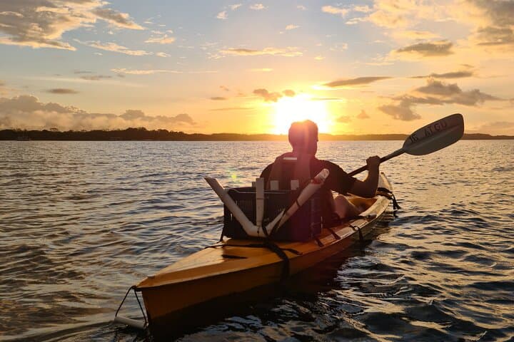 Puerto Jiménez Bioluminescent Kayak Tour: Sunset to Night on Golfo Dulce photo 3
