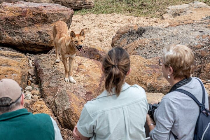 Taronga Zoo Wild Australia Experience — Behind-the-Scenes Wildlife Tour in Sydney photo 4