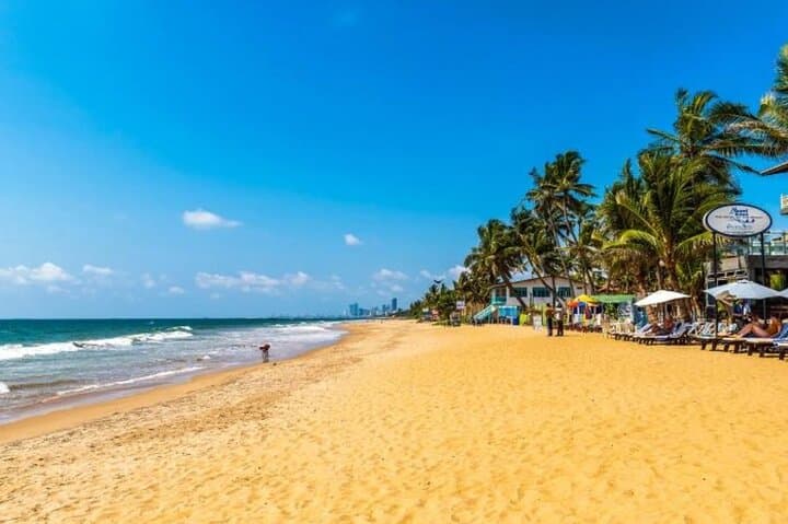 Full-Day Colombo Private City Tour: Temples, Markets & Coastal Views photo 5