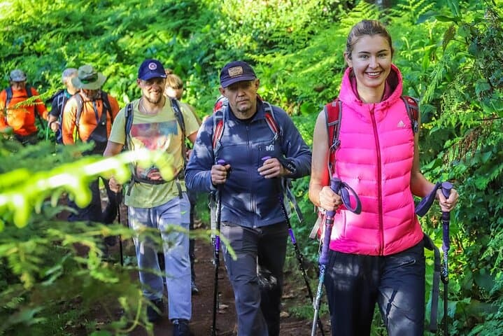 Six-Day Kilimanjaro Rongai Route: Private Trek to Uhuru Peak photo 5