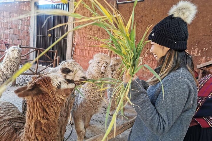 2-Day Sacred Valley & Machu Picchu: Moray, Maras, Ollantaytambo photo 6