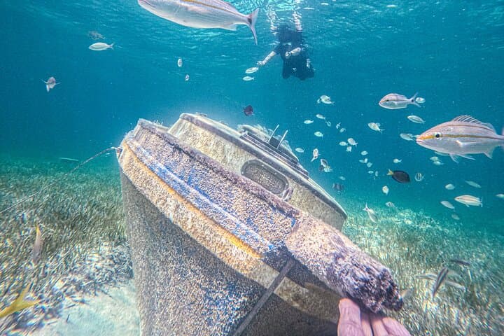 SunCay Underwater Sculpture Snorkel & Iguana Encounter — Day Trip from Nassau photo 4