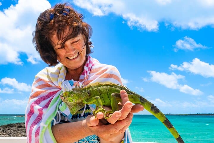 SunCay Underwater Sculpture Snorkel & Iguana Encounter — Day Trip from Nassau photo 6