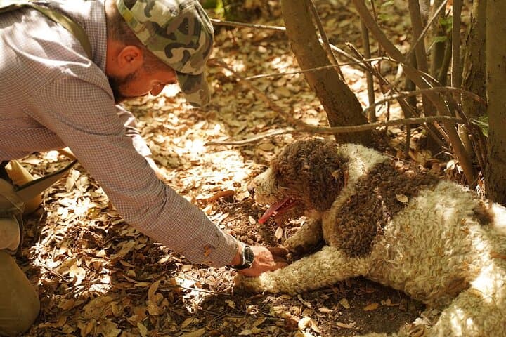 Private Truffle Hunting & Tasting in Tuscany — 5-Hour Hunt, Cooking Class and Wine