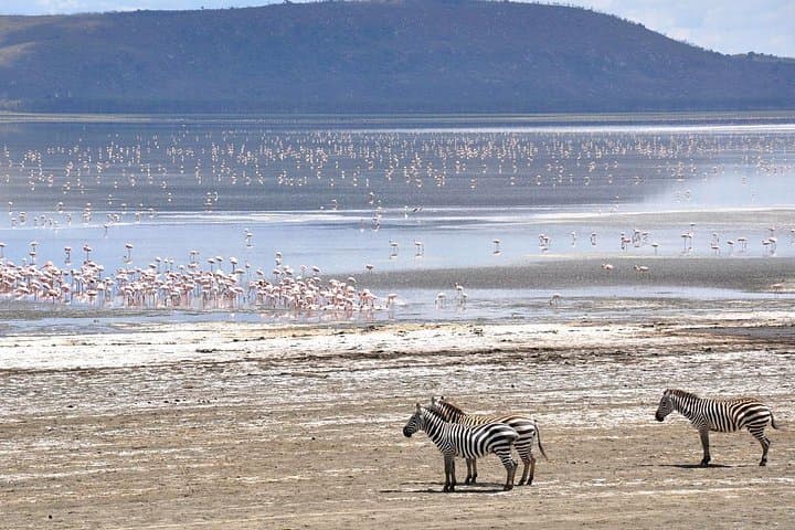 2-Day Hell's Gate, Lake Naivasha & Lake Nakuru Safari from Nairobi photo 1