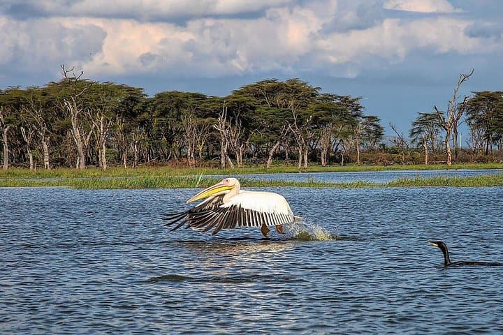 2-Day Hell's Gate, Lake Naivasha & Lake Nakuru Safari from Nairobi photo 4