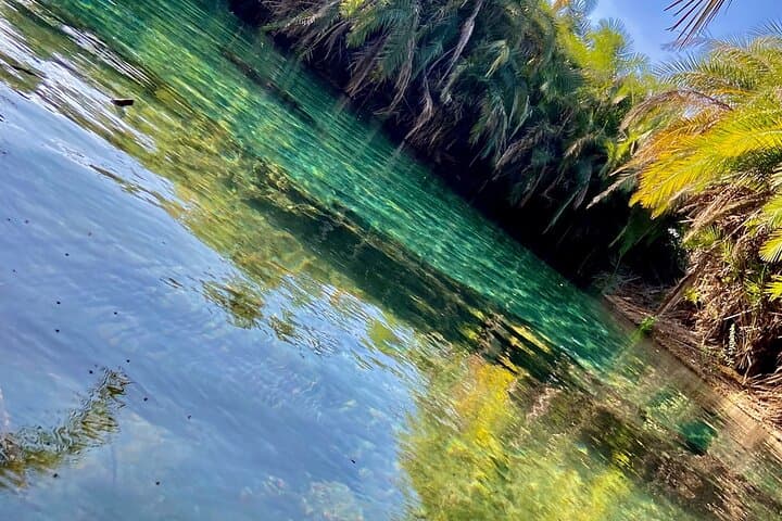 Ride the Daladala to Chemka Hot Springs: A Local Trip from Moshi photo 3