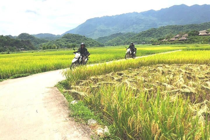 Pu Luong Full-Day Motorbike Loop to Dan Waterfall & Riverside Villages photo 4