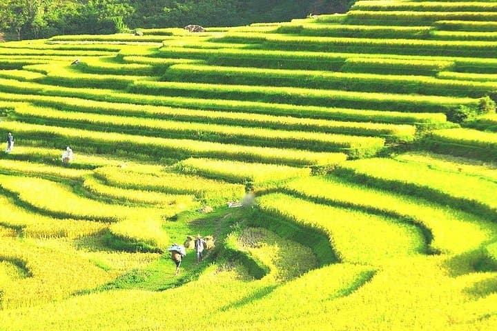 Pu Luong Nature Reserve: 2-Day Private Trek & Bamboo Rafting Adventure from Hanoi photo 4