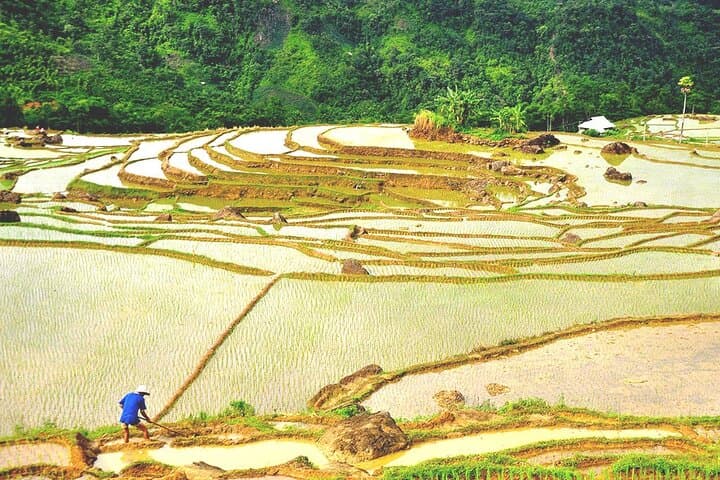 pu-luong-ninh-binh-3-day-private-guided-trek-from-hanoi photo 3