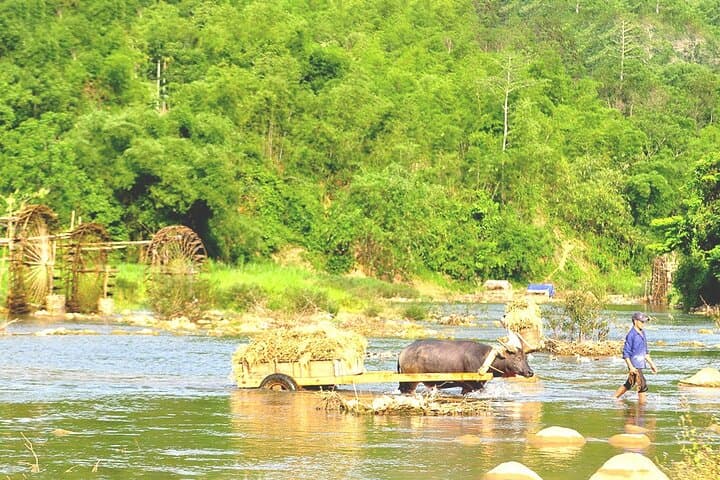 Offbeat Trekking in Pu Luong Nature Reserve — 2-Day Trek from Hanoi