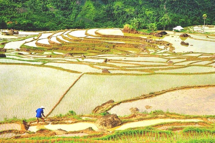 Offbeat Trekking in Pu Luong Nature Reserve — 2-Day Trek from Hanoi photo 4