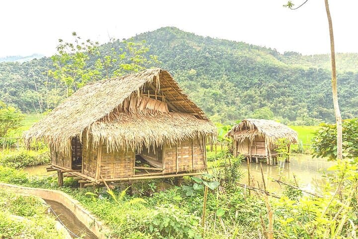 Offbeat Trekking in Pu Luong Nature Reserve — 2-Day Trek from Hanoi photo 6