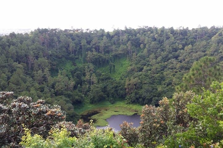 Full-Day Private South Mauritius Tour — Chamarel, Black River Gorges & Grand Bassin
