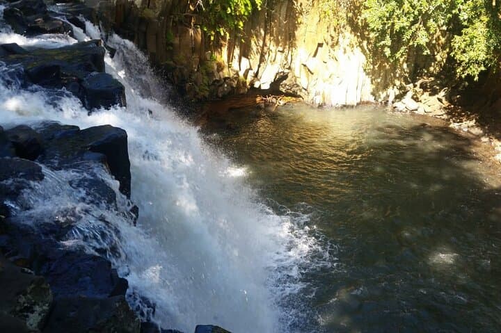 Full-Day Private South Mauritius Tour — Chamarel, Black River Gorges & Grand Bassin photo 2