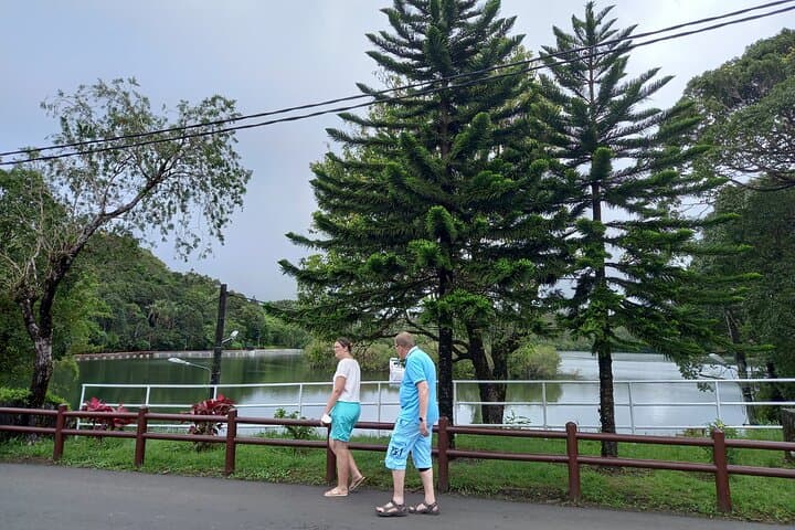 Full-Day Private South Mauritius Tour — Chamarel, Black River Gorges & Grand Bassin photo 4