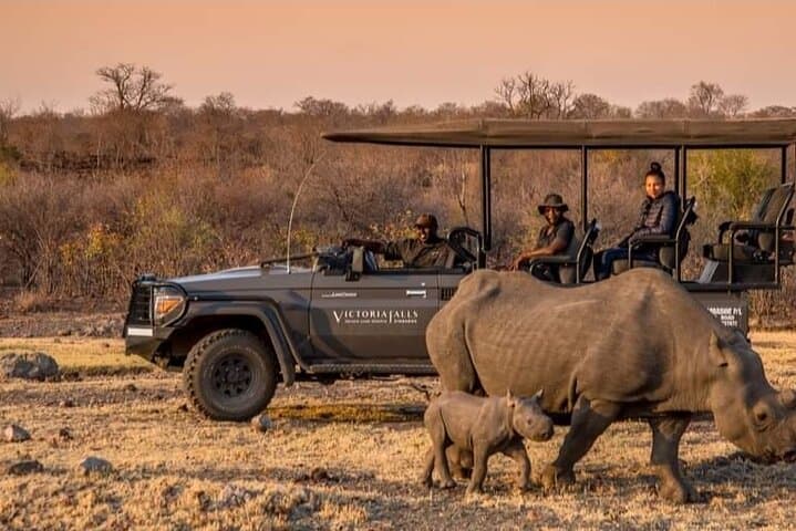 Evening Game Drive & Bush Dinner Near Victoria Falls — Night Rhinos and Safari Supper photo 1