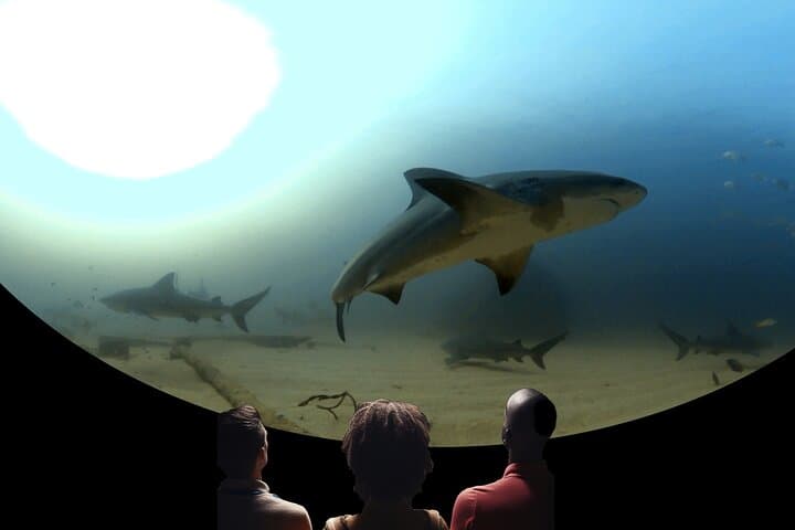 Immersed 360° Ocean Dome Experience on Catalina Island photo 5