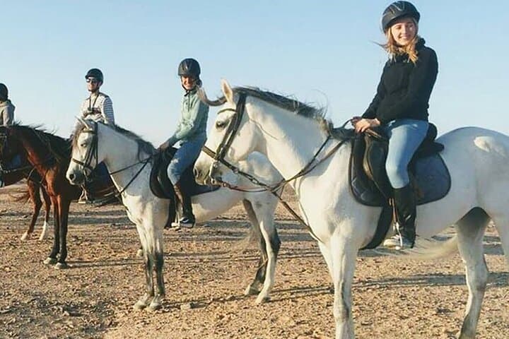 Sinai Desert Horseback Ride: 1-Hour Guided Experience from Sharm El Sheikh photo 4
