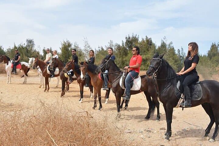 Sinai Desert Horseback Ride: 1-Hour Guided Experience from Sharm El Sheikh photo 5