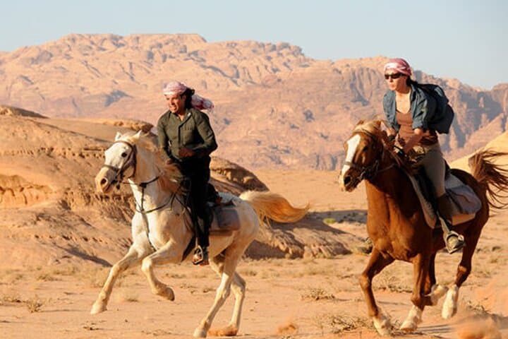 Sinai Desert Horseback Ride: 1-Hour Guided Experience from Sharm El Sheikh photo 6