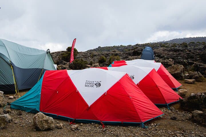 7-Day Kilimanjaro Machame Route Trek — Summit Uhuru Peak on the Roof of Africa photo 5