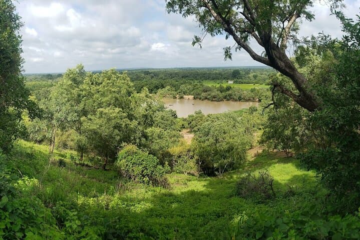 Close Encounters: 2-Day Mole National Park Wildlife Safari (Flights Included) photo 4