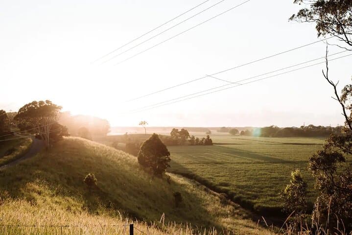 Art and Yoga Retreat in Byron Bay Hinterland — Day Cabin Experience photo 1