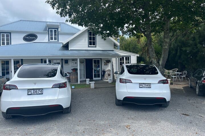 Martinborough Full-Day Tandem Tesla Wine Tour from Wellington