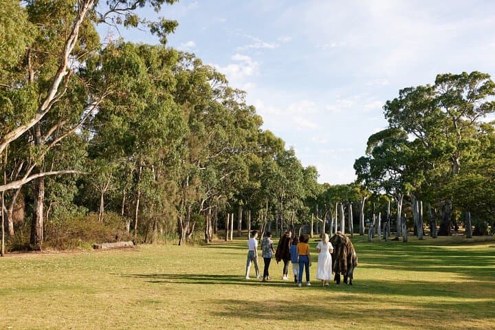 Warriparinga Cultural Walk — Kaurna Guided Tour & Wetlands History near Adelaide photo 5