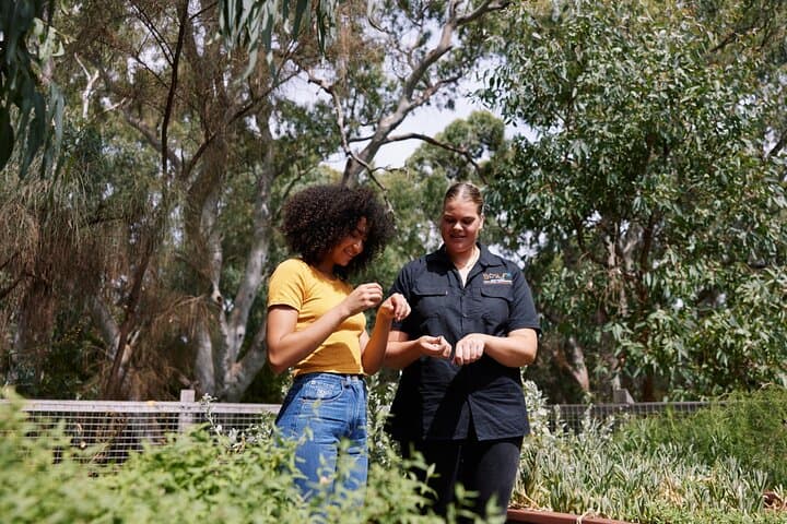 Warriparinga Cultural Walk — Kaurna Guided Tour & Wetlands History near Adelaide photo 6