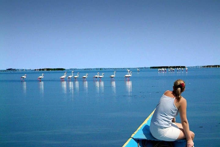 Konark Sun Temple and Chilika Lake Day Trip from Bhubaneswar — Temple Ruins, Birds & Dolphins photo 3