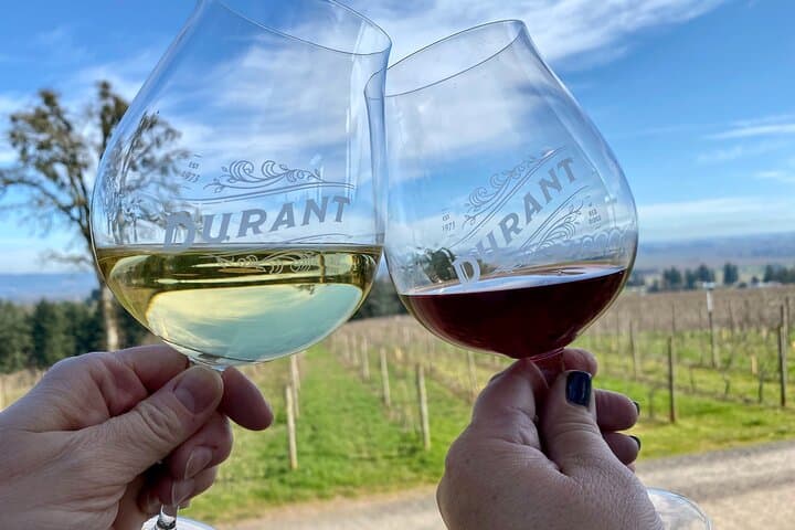 Willamette Valley Wine Tour from Portland: Small-Group Pinot Noir Tastings & Vineyard Visits photo 1