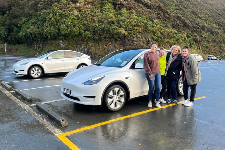 Martinborough Full-Day Tandem Tesla Wine Tour from Wellington photo 6
