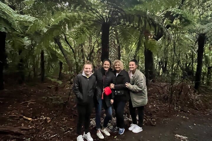 Martinborough Full-Day Tandem Tesla Wine Tour from Wellington photo 4