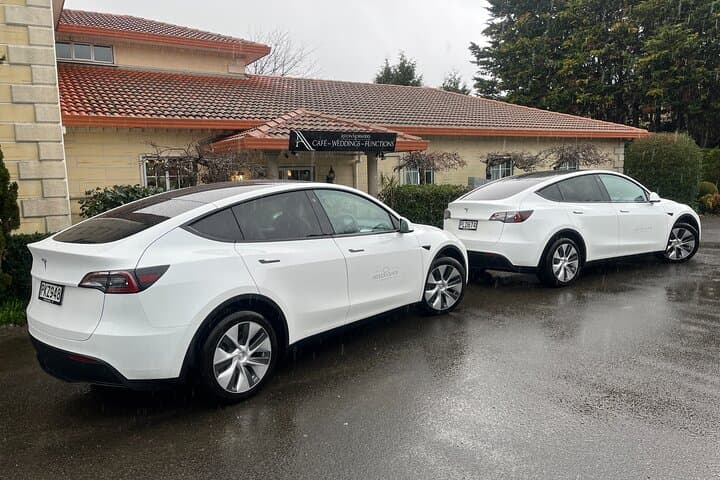 Martinborough Full-Day Tandem Tesla Wine Tour from Wellington photo 5