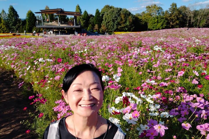 Three-Day Japan Highlights: Tokyo to Mt. Fuji, Nara & Kyoto photo 2