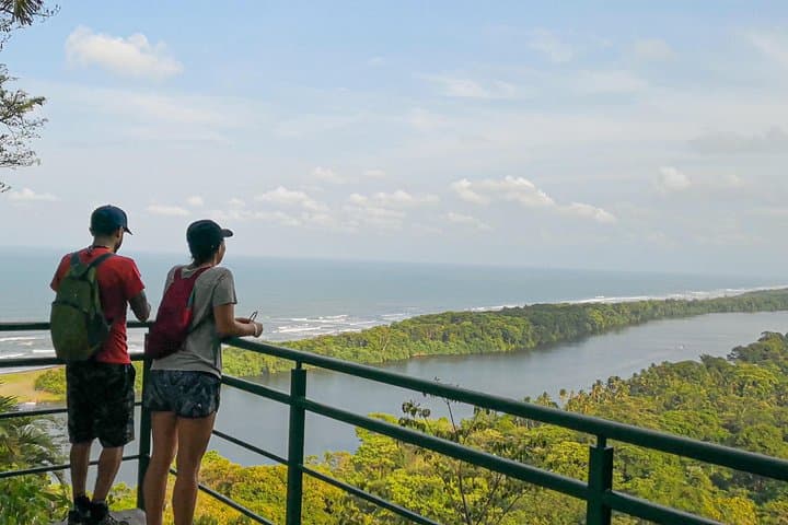 Cerro Tortuguero Trail Hike — Caribbean Coast Summit & Wildlife Walk