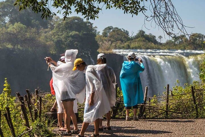 Victoria Falls Guided Walking Tour: Complete Visitor Guide photo 4