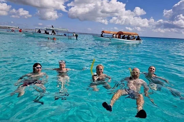 Kizimkazi Dolphin Encounter: Zanzibar Boat Tour and Swim photo 4