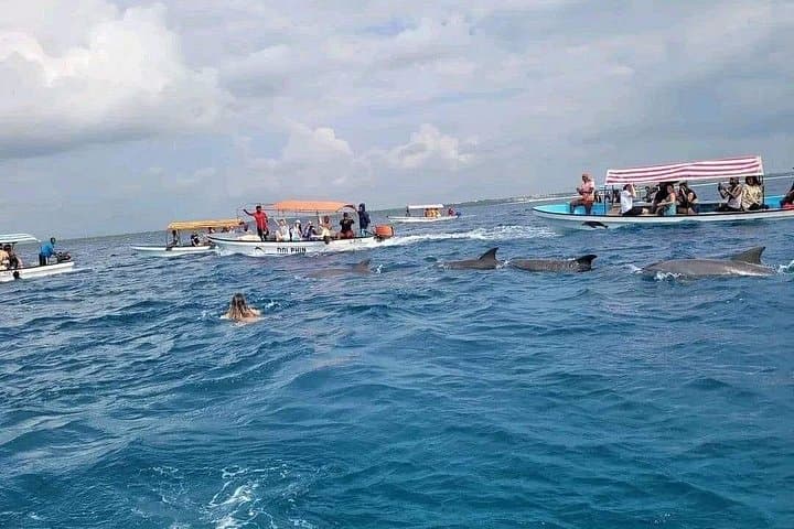 Kizimkazi Dolphin Encounter: Zanzibar Boat Tour and Swim photo 3