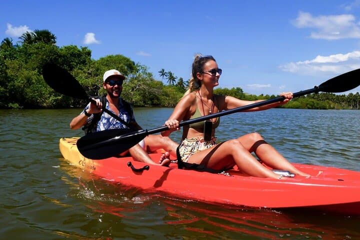 Paddling Through Paddy and Tea: 4-Hour Private Kayak in Galle photo 6