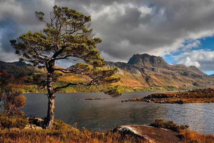 Wild West Coast Adventure: Gairloch, Inverewe & Glen Docherty Day Tour photo 4