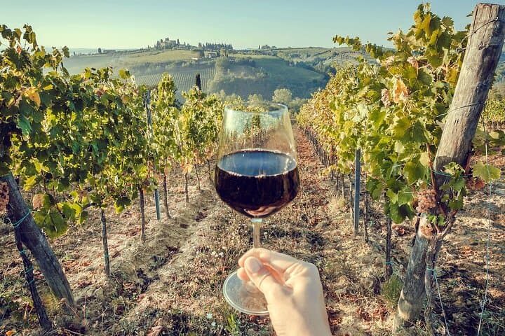 Etna Wine & Honey Private Tour: Winery Tasting on the Volcano photo 2